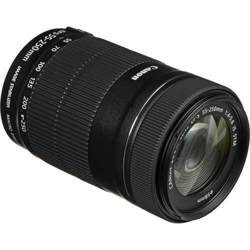 Canon EF-S 55-250mm f/4-5.6 IS STM Lens - Image 2