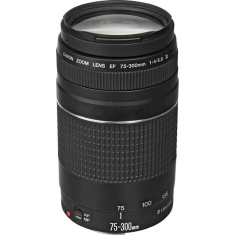 75-300mm-1-1.jpg
